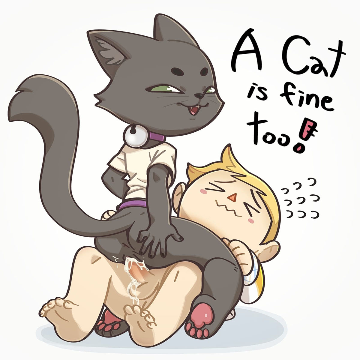 A CAT is Fine Too