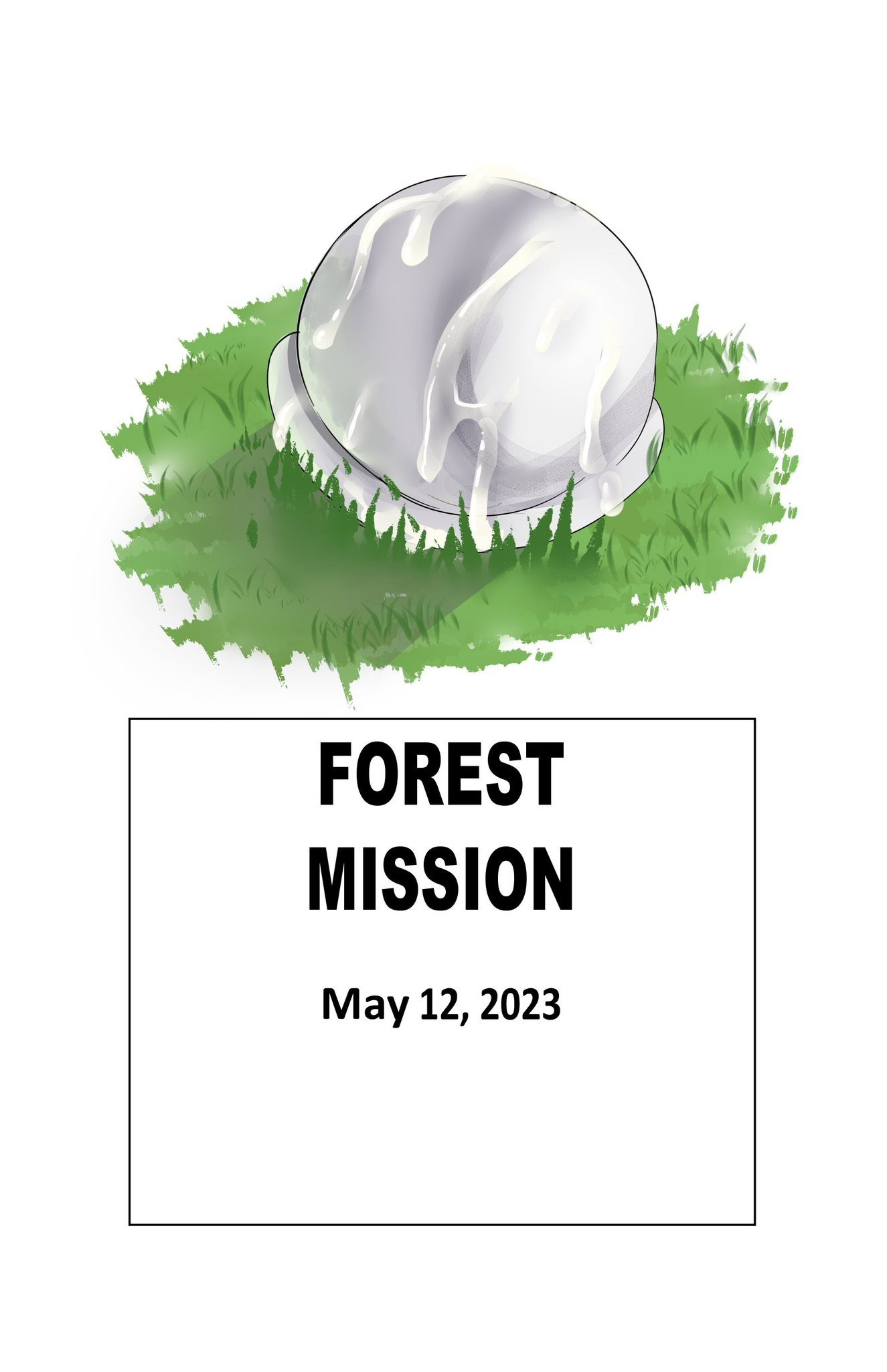 FOREST MISSION