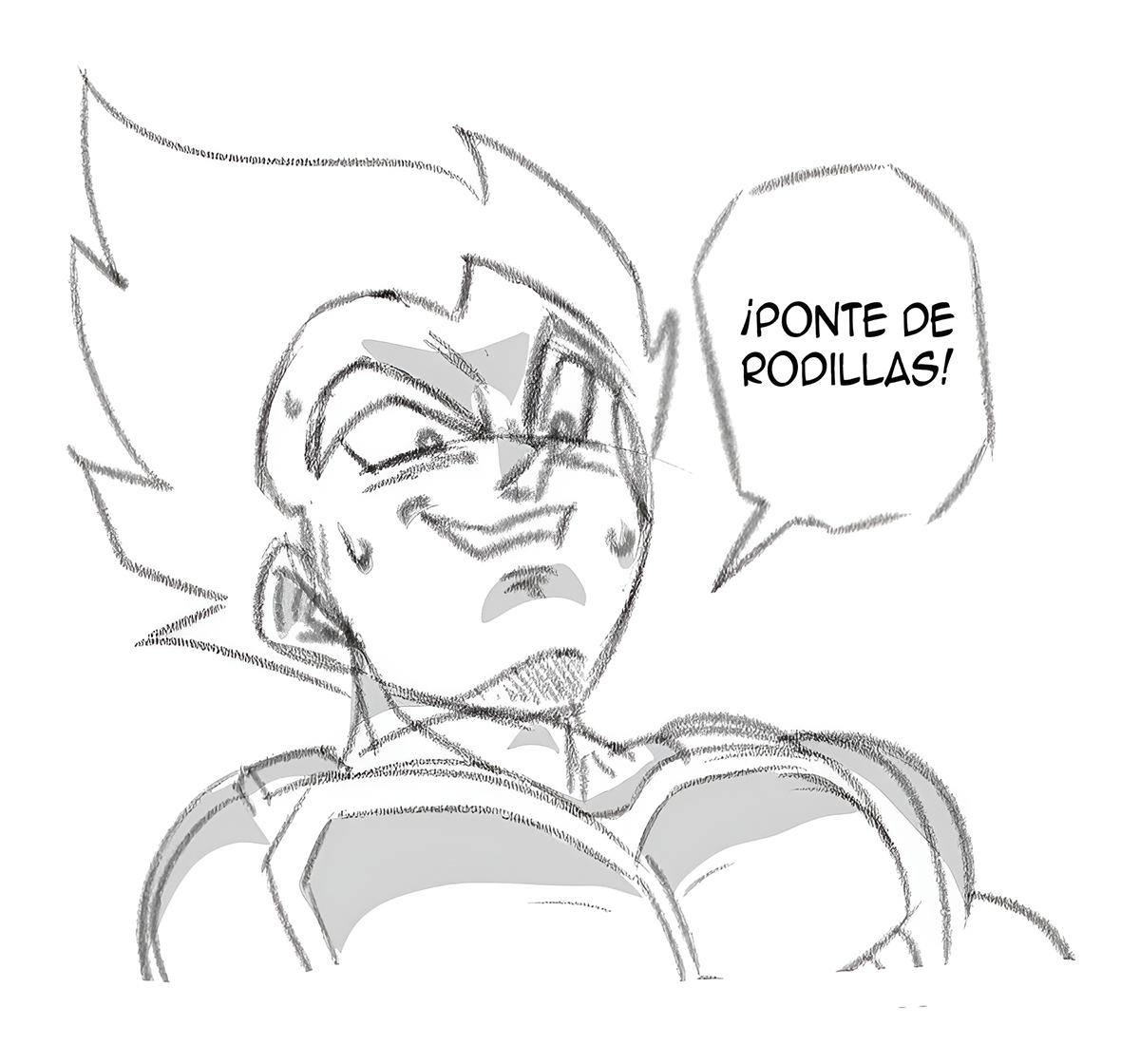 BULMAS new BOOBS