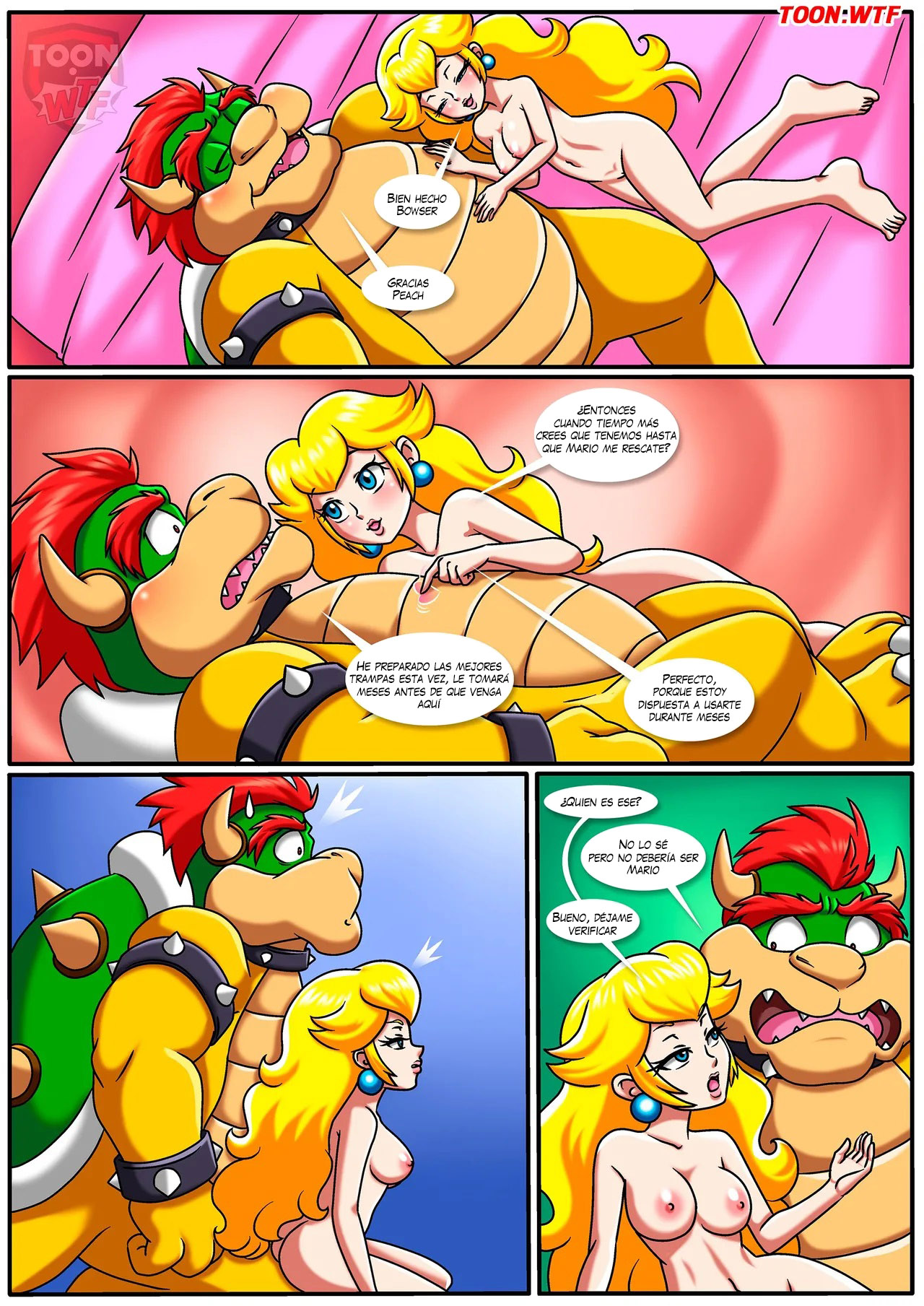 The MUSHROOM KINGDOM secret