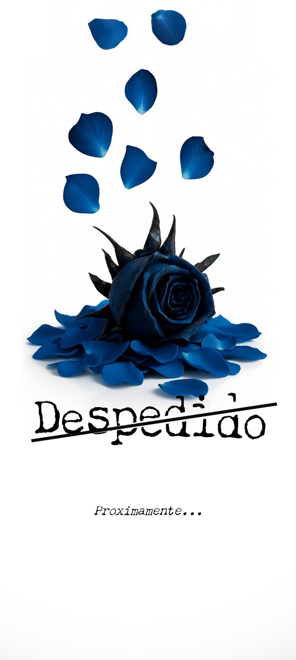 DESPEDIDO parte 1