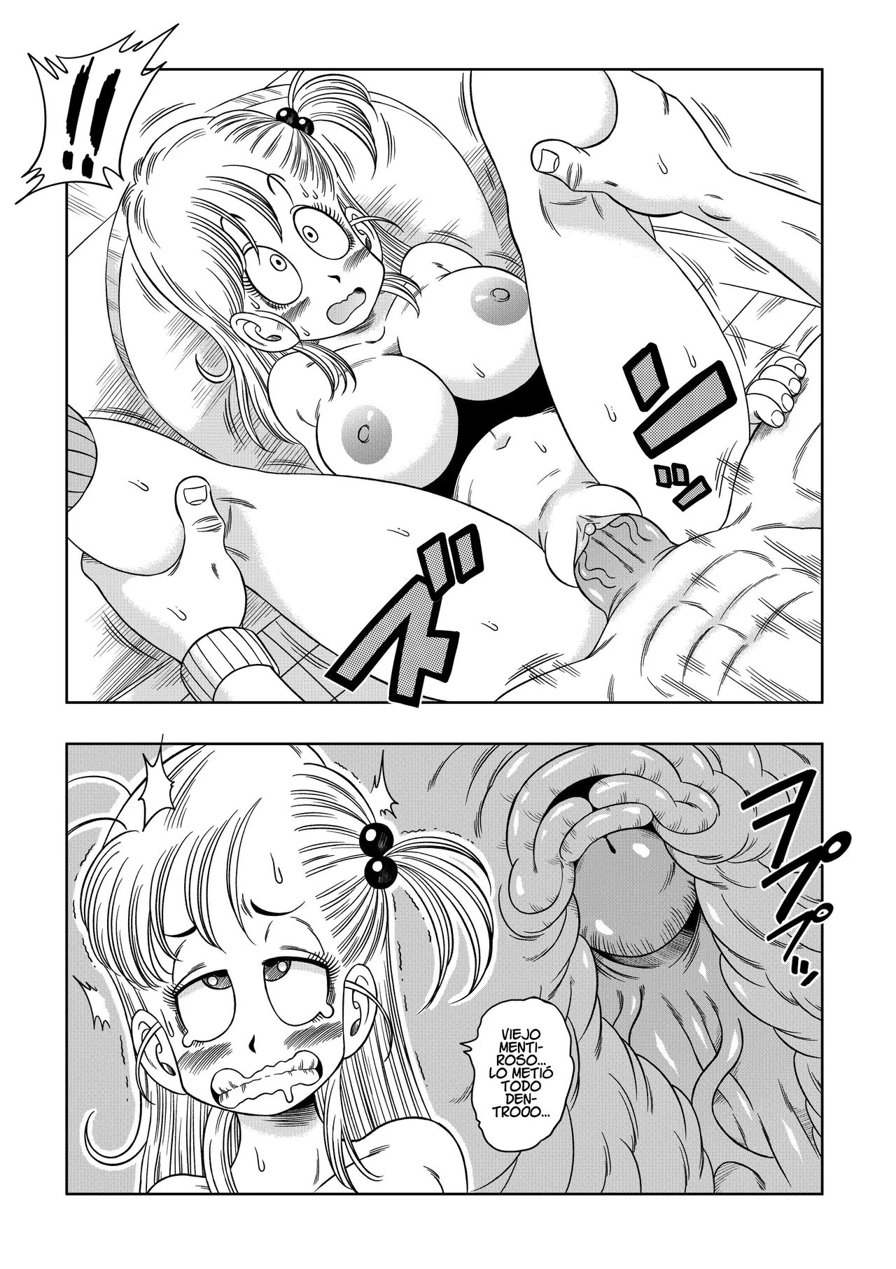 KAME Toilet - TURTLE Toilet