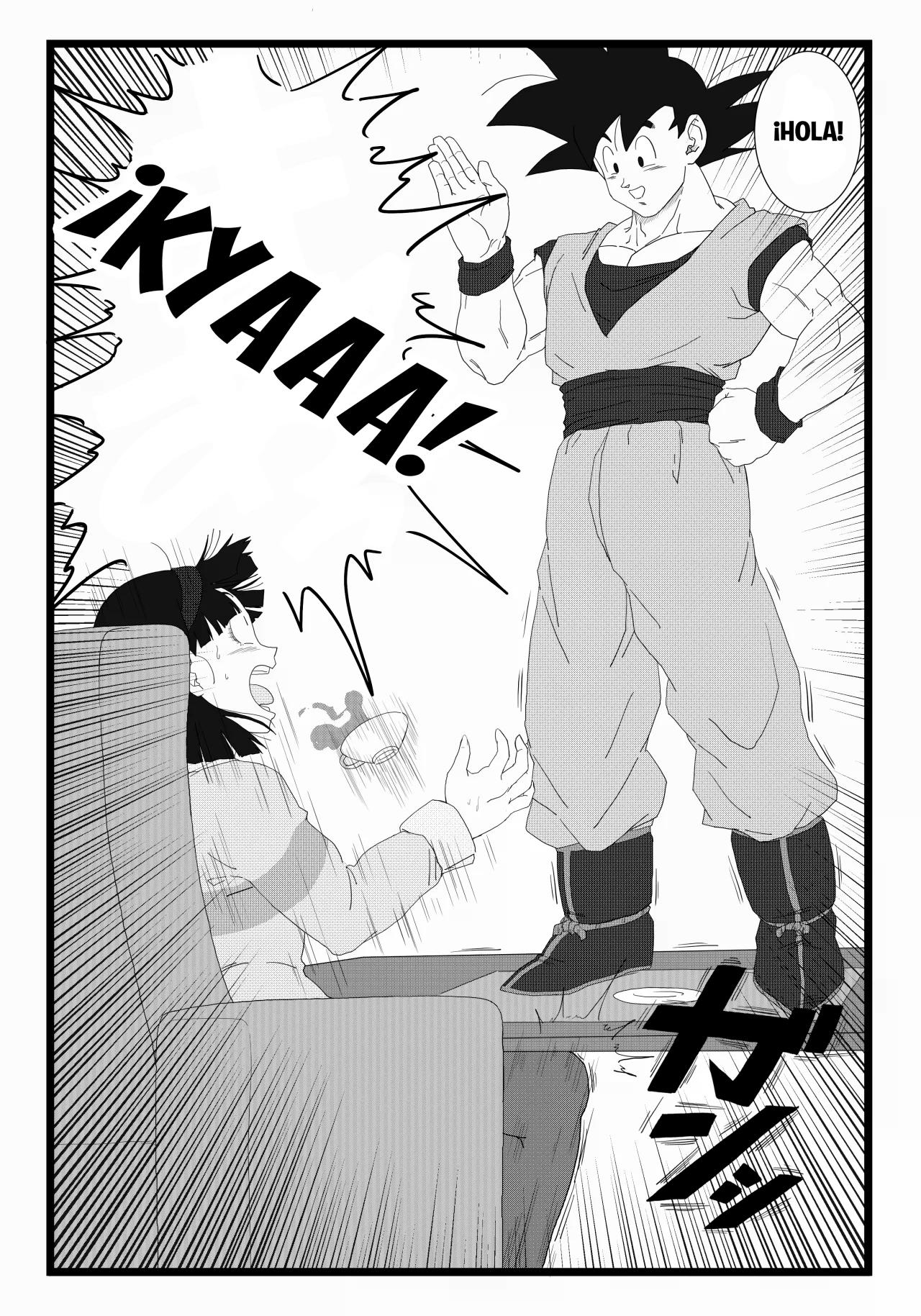 VIDEL x GOKU