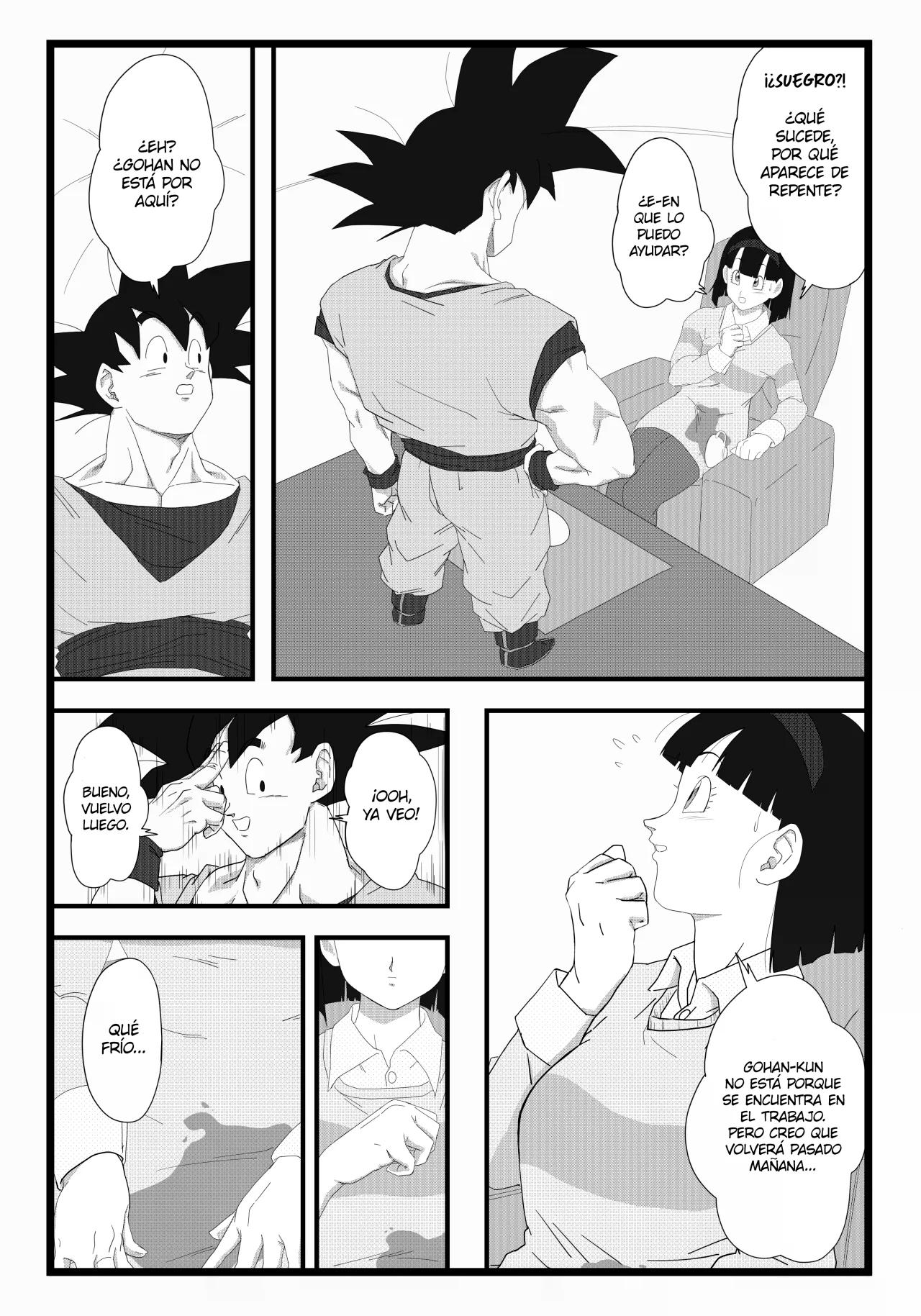 VIDEL x GOKU