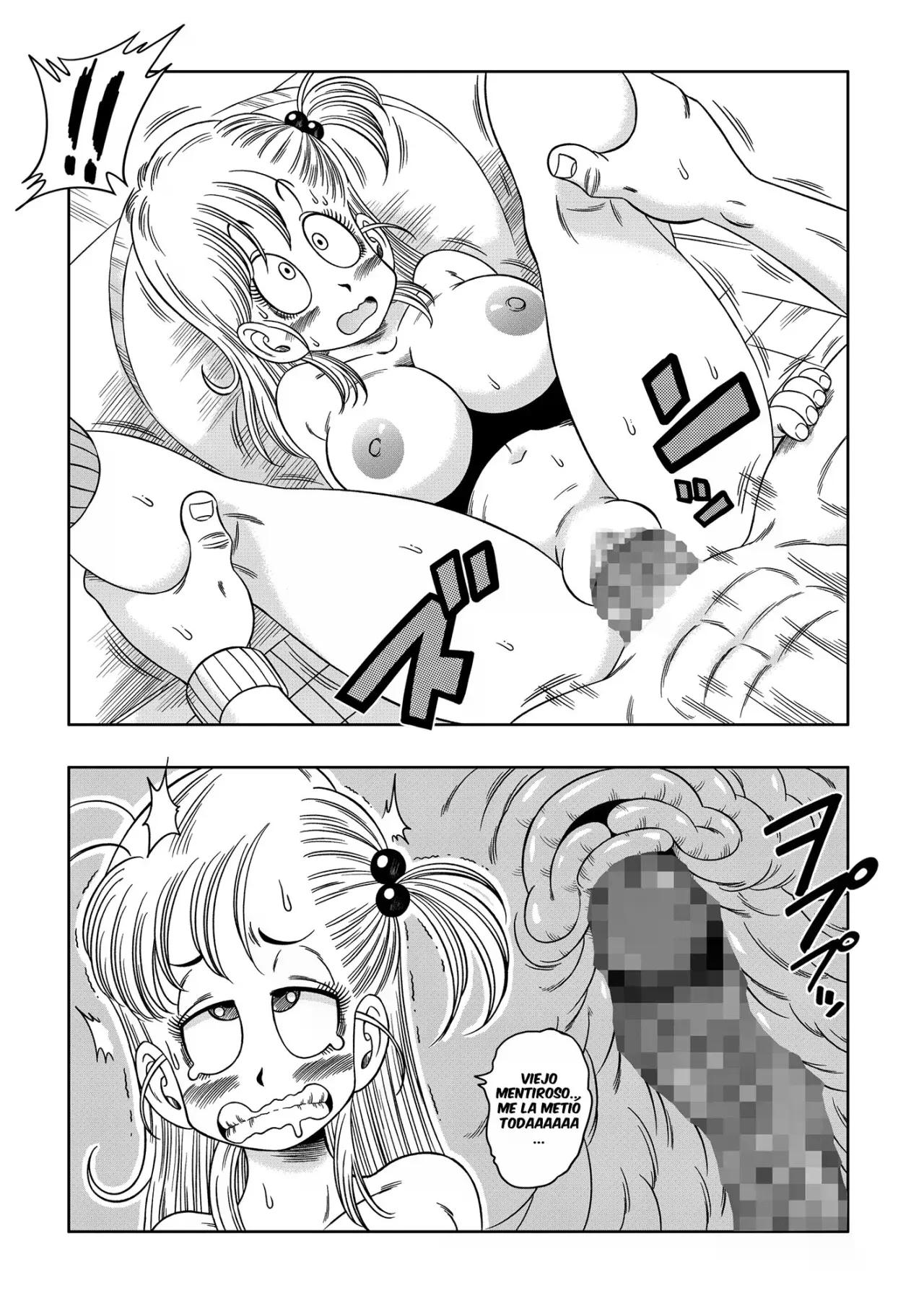 KAME Toilet - TURTLE Toilet