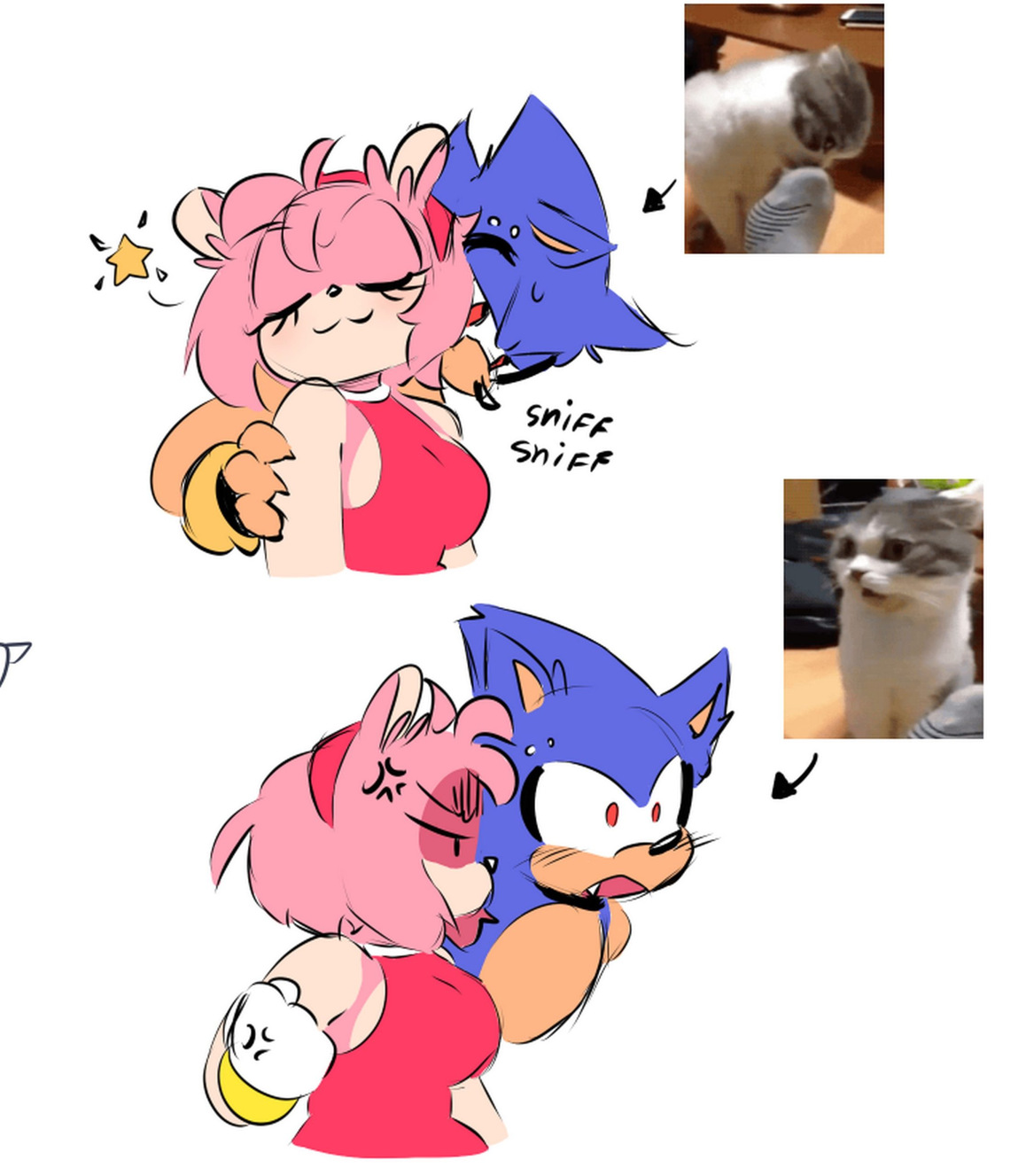 METAMY
